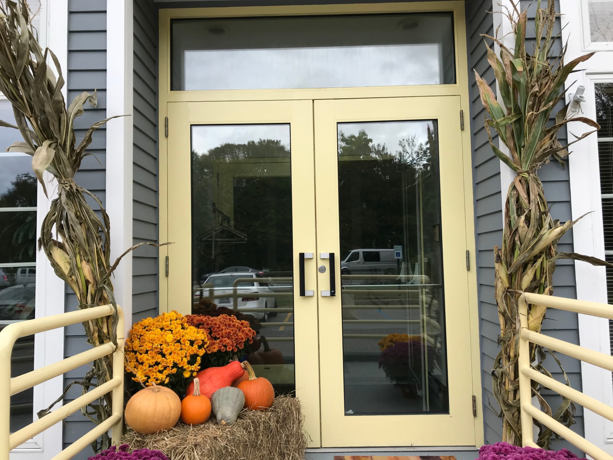 Students doing activities